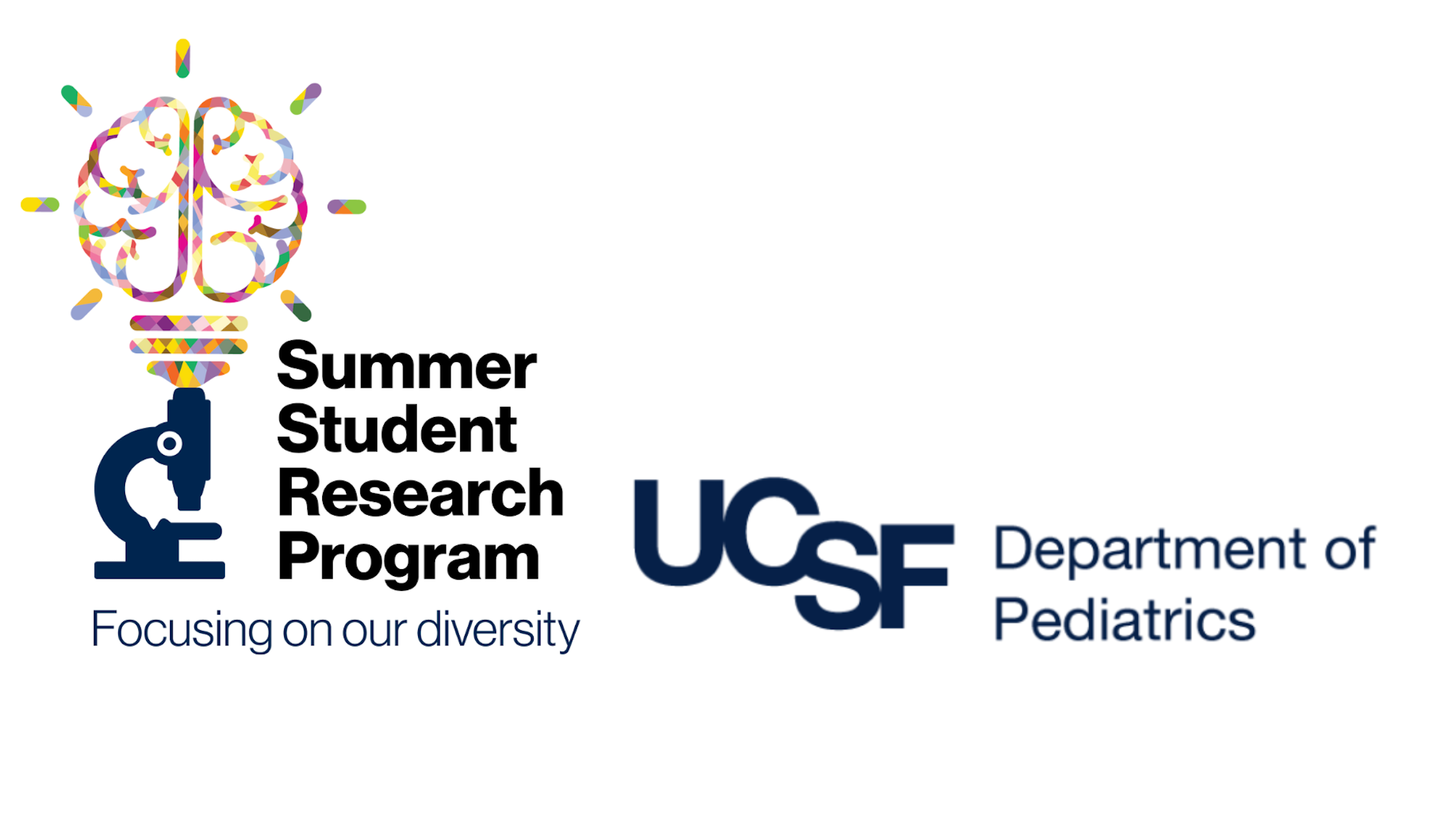 How to Apply Summer Student Research Program